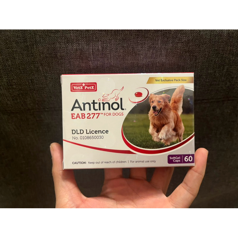 Antinol EAB-277 for dogs แอนทินอล อีเอบี-277 สำหรับสุนัข