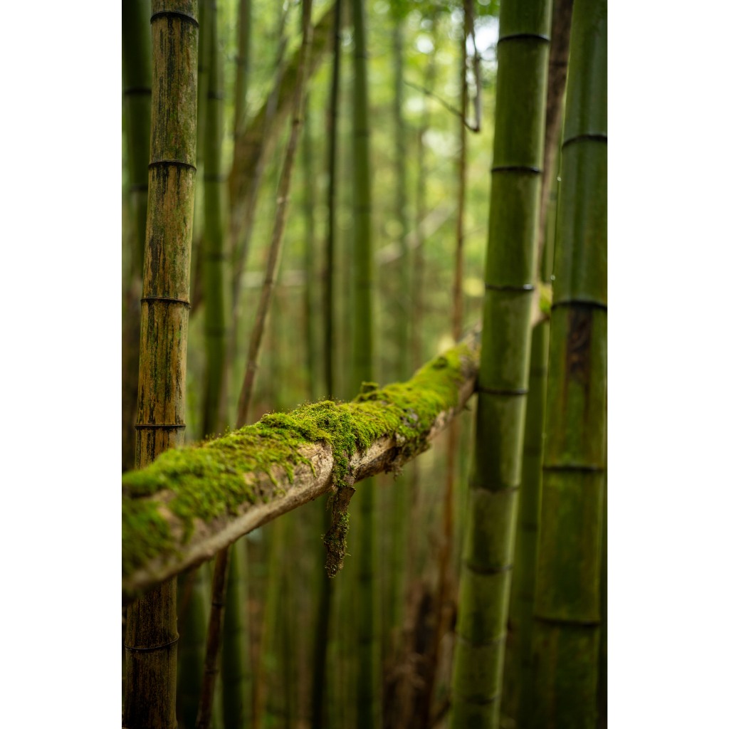 VILTROX 35mm F1.2 AUTO FOCUS ( Sony FE / NIKON Z ) Full frame LAB AF / เมาท์ FE / E / NEX / Z MOUNT 35 MM F 1.2 ฟูลเฟรม - รูปที่ 4