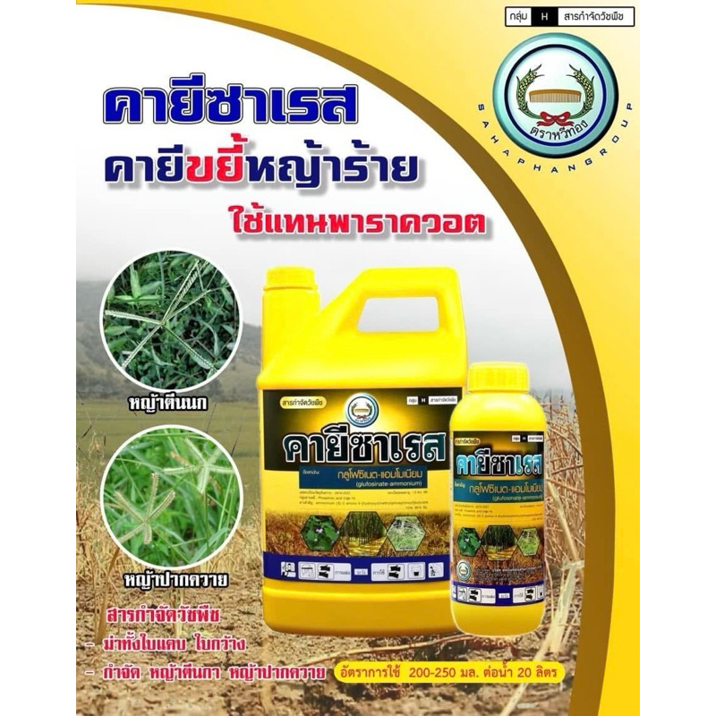 คายีซาเรส คายี กลูโฟหวีทอง กลูโฟซิเนต ยาฆ่าหญ้า แบบกาลอน 4 ลิตร