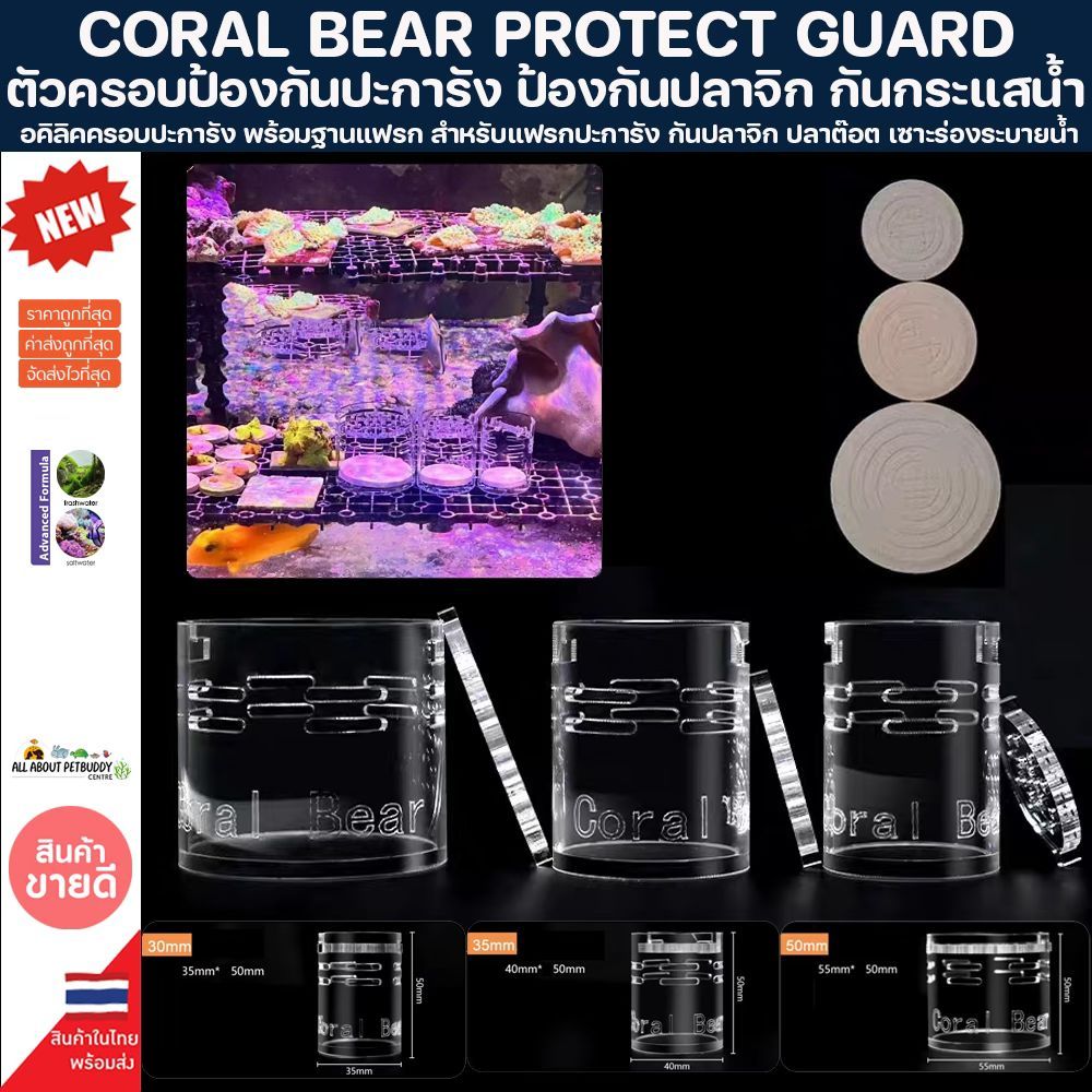 CORAL BEAR PROTECT GUARD ที่ครอบ ปะการัง แบบอย่างดี ป้องกันปลารบกวน acrylic coral feeding ให้อาหารปะการัง ปลาสวยงาม ทะเล ราคา ถูกที่สุด ดีลบีเคเค รูปภาพหลัก