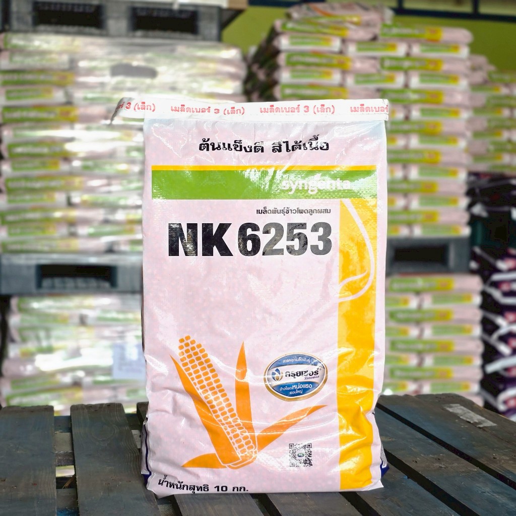 เมล็ดพันธุ์ข้าวโพดเลี้ยงสัตว์  NK 6253  3 หุน  10 kg. (ข้าวโพด เมล็ดพันธุ์ผัก เมล็ดพันธุ์พืช )