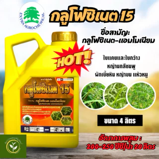กลูโฟซิเนต-แอมโมเนียม กลูโฟซิเนต15(ตราต้นไม้)แกลลอนทอง กำจัดวัชพืชใบแคบและใบกว้าง เช่นหญ้าตีนนก หญ้าปากควาย ขนาด4ลิตร