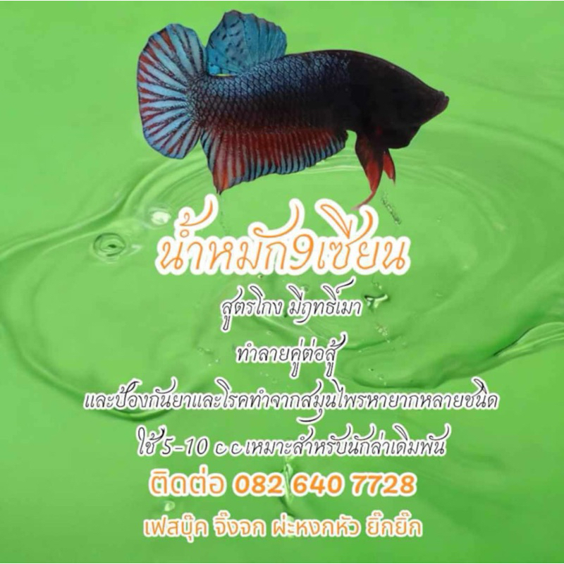 อุปกรณ์เลี้ยงปลากัด หมักเก้าเซียน แถมสลิ้งดูดน้ำ และวิธีใช้