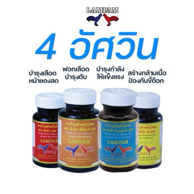 วิตามิน สำหรับไก่ชน Lampam 4 อัศวิน
