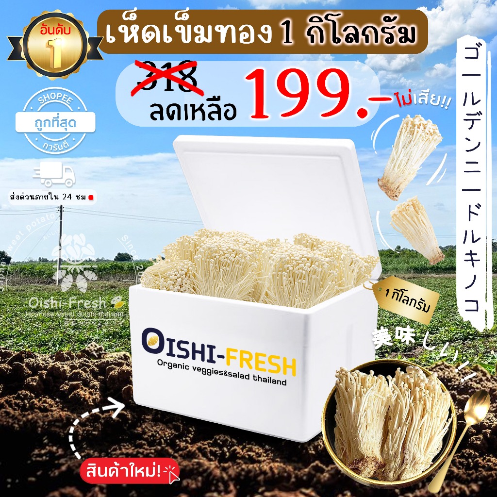 🛒Oishi-Fresh🍄‍เห็ดเข็มทอง ปลอดสารพิษ 1 กก. รสชาติกรอบ สด ใหม่ ใยอาหารสูง หวานออร์แกนิค เคลมได้ 1-2 วัน