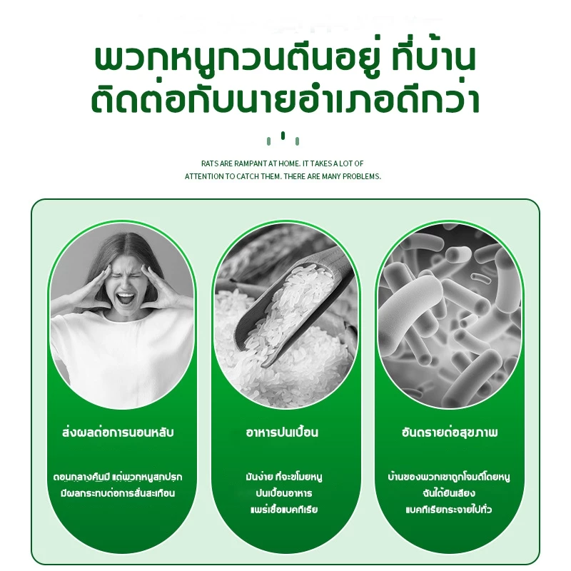 แผ่นกาวดักหนู เหนียวพิเศษ ติดทน แผ่นใหญ่ thumbnail 9