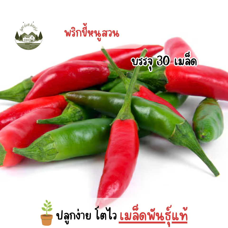 เมล็ดพริกขี้หนูสวน 30 เมล็ด