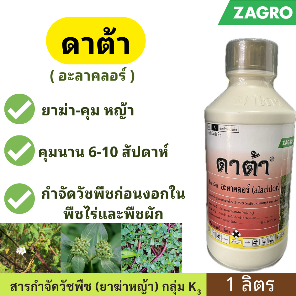 ดาต้า ( อะลาคลอร์ ) ขนาด 1ลิตร ตราซาโกร ฆ่า คุม หญ้า ในพืชผัก คะน้า พริก ข้าวโพด อ้อย ถั่ว มันสำปะหลัง หอม ฉีดทับผัก