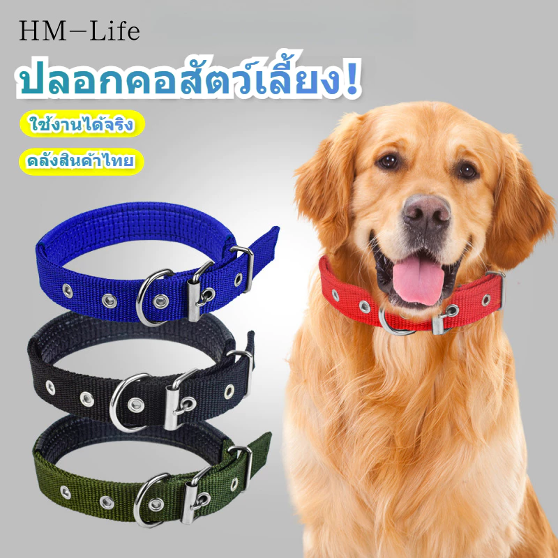 ปลอกคอสุนัขปลอกคอสุนัขแมวไนลอนหนังนิ่มซับในโพลีโพรพิลีนโฟมปลอกคอสุนัขปลอกคอสัตว์เลี้ยง CW16