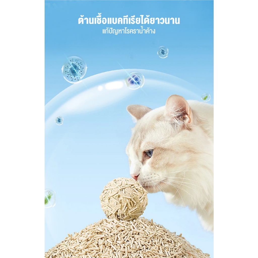 😺Hipetime shop😺 【6L*5】🎉การจัดส่งในประเทศไทย **เต้าหู้ทรายแมวผสมกับเบนโทไนท์ **☆1.5 วินาที จับตัวแน่น รูปที่ 7