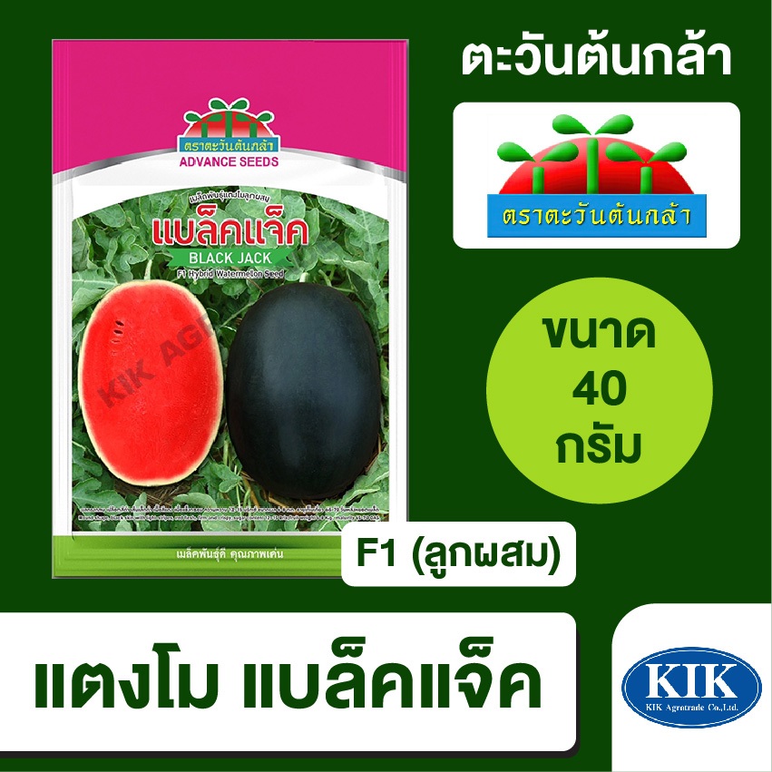 เมล็ดพันธุ์ ตะวันต้นกล้า แตงโม แบล็คแจ็ค ABS BIG (ซอง) ขนาด 40กรัม