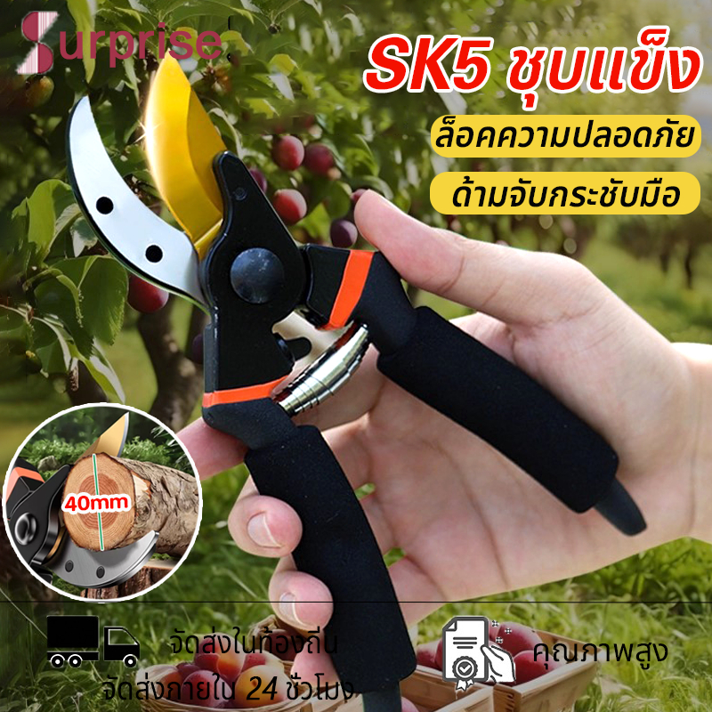 กรรไกรตัดแต่งกิ่ง กรรไกรตัดกิ่งไม้ กรรไกรตัดหญ้า SK5 แต่งสวน กรรไกรตัดกิ่ง อุปกรณ์ทำสวน ลดแรงกด น้ำหนักเบา ของแท้พร้อม