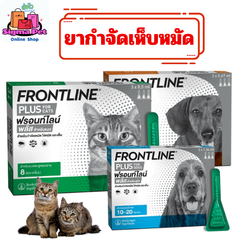 Frontline Plus กำจัดเห็บหมัดสุนัขและแมว (ฟรอนท์ไลน์ พลัส)
