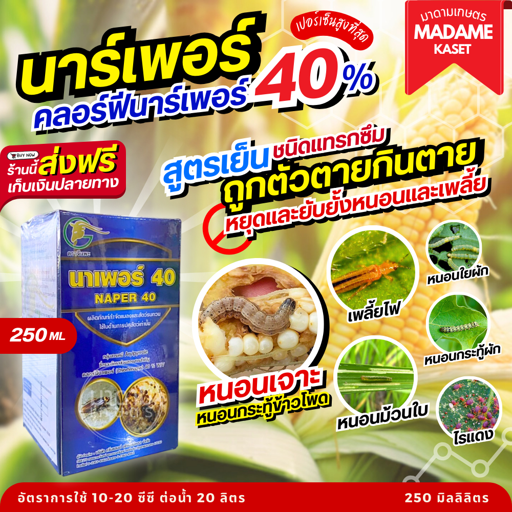 ใหม่!! นาเพอร์ - คลอร์ฟีนาร์เพอร์40% ตัวปราบหนอนเจาะในข้าวโพด เพลี้ยไฟ ไรแดง เก่งหนอนใยผัก หนอนม้วนใบ หนอนกระทู้ 250cc