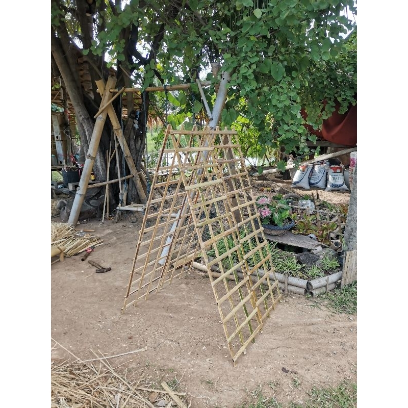 ค้างไม้เรื้อย​ ค้างผัก​ ขนาด​ 140×40ซม.​ 1ชุด/4​แผง​ จัดส่งฟรี