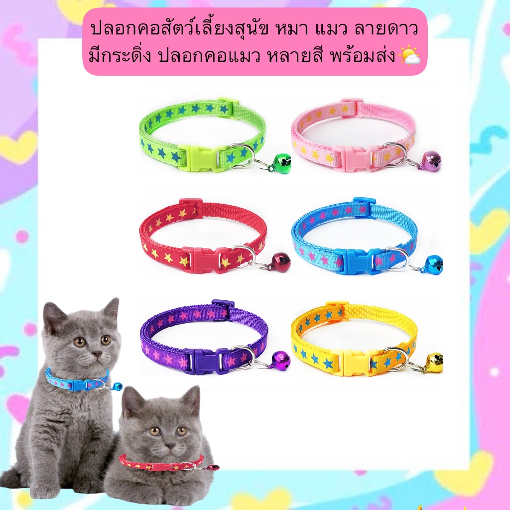 BN-556 🌟 ปลอกคอสัตว์เลี้ยง ลายดาว มีกระดิ่ง สำหรับสุนัขและแมว พร้อมส่ง 🐶🐱  ✨ คุณสมบัติเด่น 🔔 มาพร้อมกระดิ่งเสียงใส เพิ่ม