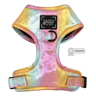 Sassy Woof The Night Life ชีวิตกลางคืนสายรัดปรับระดับได้สำหร…