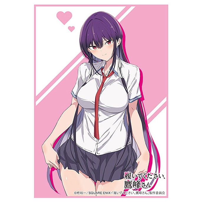 Bushiroad Sleeve HG Vol.4836 TV Anime Please Put Them On, Takamine-san [Takane Takamine]