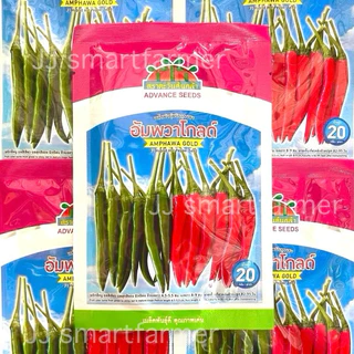 อัมพวาโกลด์ 5,20และ50 กรัม เมล็ดพริกลูกผสม ตราตะวันต้นกล้า