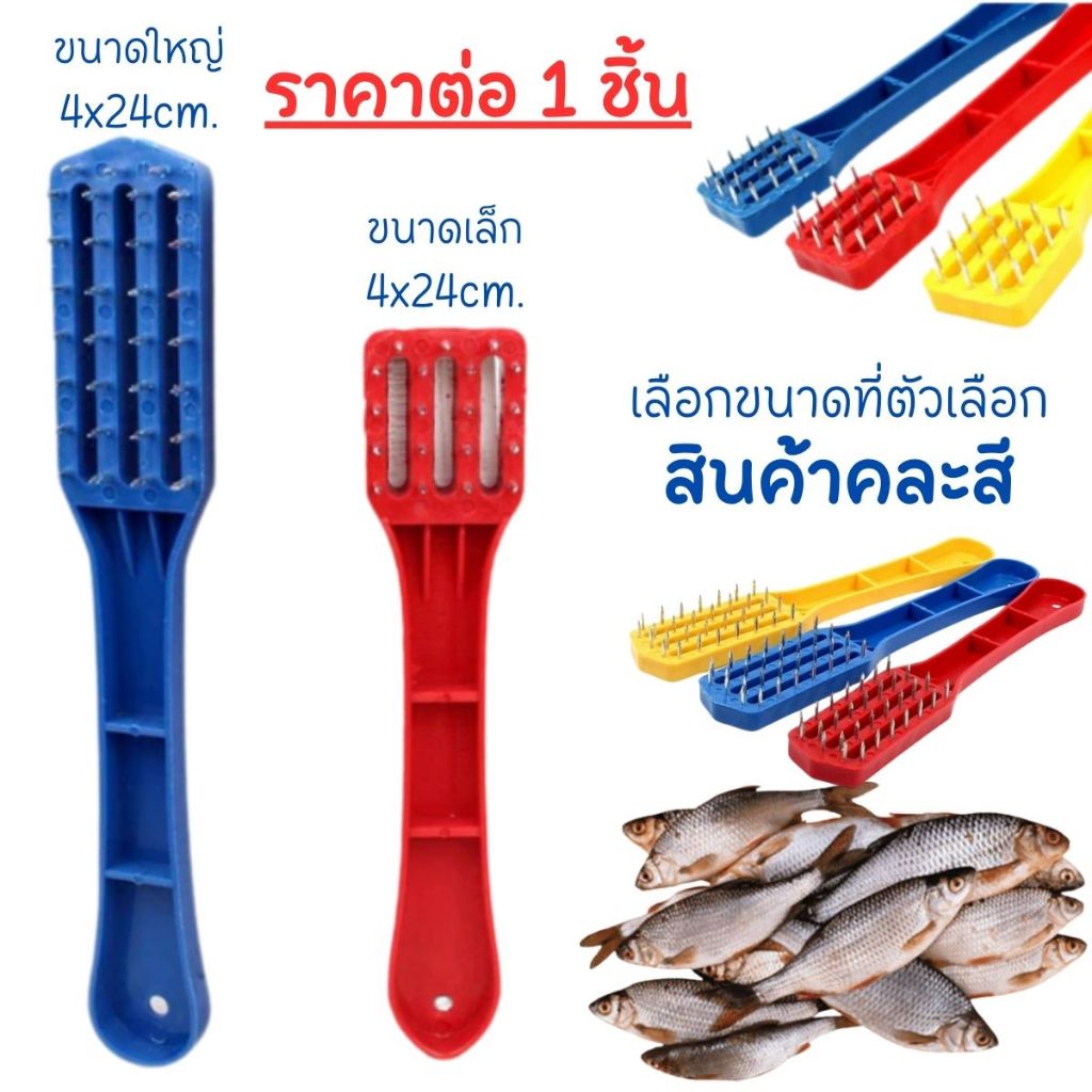 ที่ขอดเกล็ดปลา คละสี ขนาดเล็ก-ใหญ่ หัวขูดสแตนเลส ไม่เป้นสนิม อุปกรณ์ขอดเกล็ด ขอดเกล็ด ทำความสะอาด ด้ามพลาสติก TWS