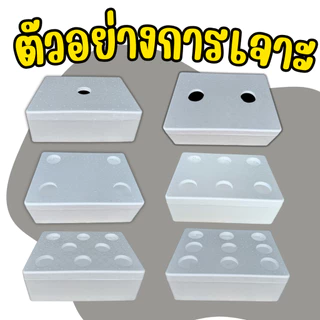 กล่องโฟมเจาะรู 4 นิ้ว พร้อมปลูก ผักไฮโดรโปนิกส์ กล่องโฟมเจาะ 4 นิ้วปลูกผักไฮโดรโปนิกส์ พร้อมถ้วยปลูก