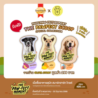 (สินค้าสมนาคุณงดจำหน่าย)แถม 1 ชิ้นต่อ 1 ออเดอร์ หมอน The Paw-Fect Moment (SmartHeart GoldxGluta Story) จำนวน 1 ใบ คละลาย