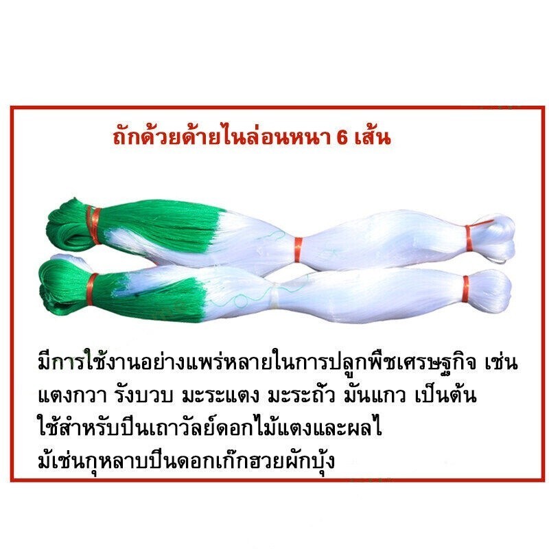 างปลูกผัก ค้างผัก 2*100m ตาข่ายปลูกผัก โครงไม้เลื้อย ค้างไม้เลื้อย ตะข่ายไนลอน ต้นไม้เลื้อย ตาข่ายปลูกแตง อวนแตง กวา - รูปที่ 5