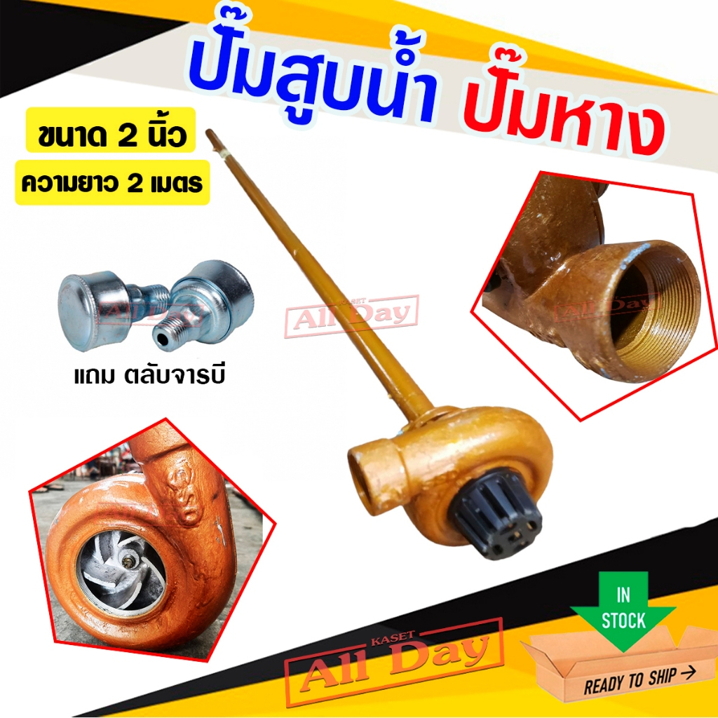 ปั๊มหาง สูบน้ำ ขนาด 2 นิ้ว ท่อยาว 2 เมตร ยี่ห้อ STP