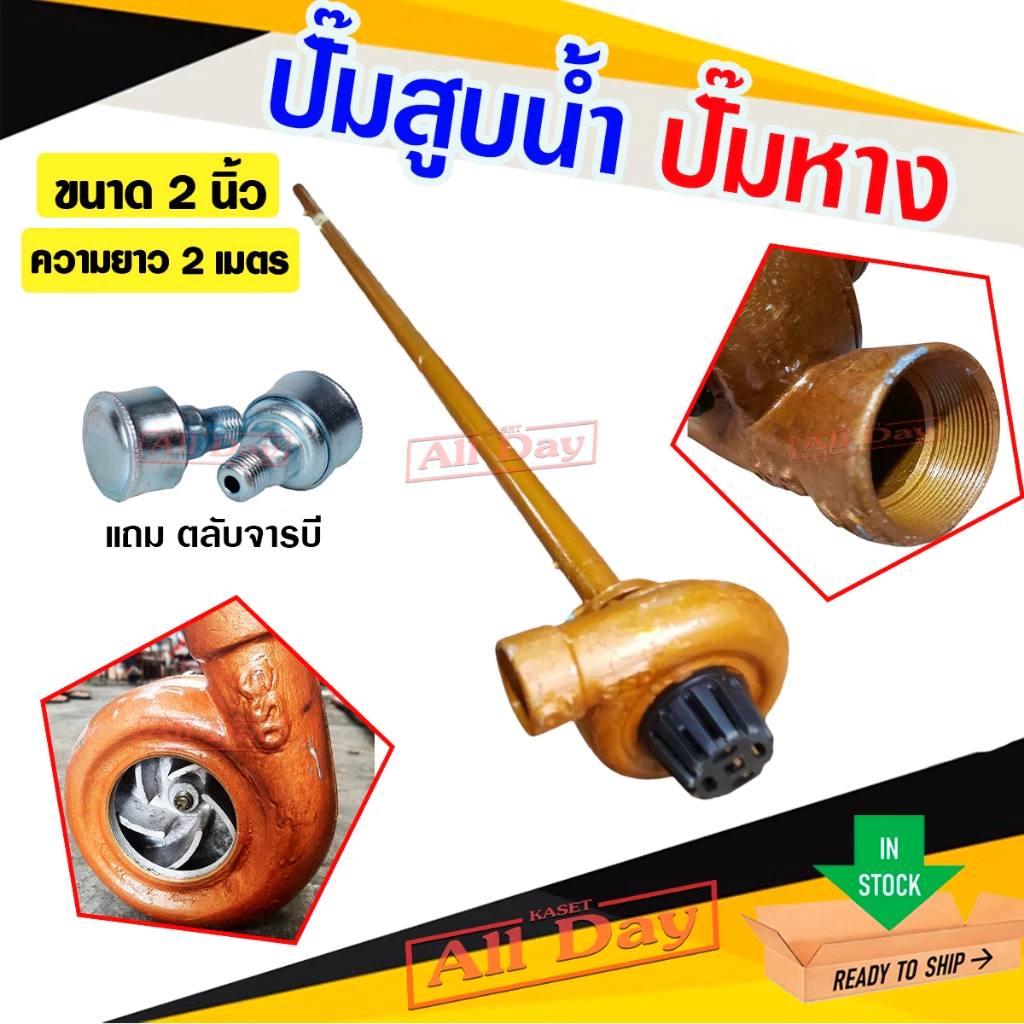 ปั๊มหาง สูบน้ำ ขนาด 2 นิ้ว ท่อยาว 2 เมตร ยี่ห้อ STP