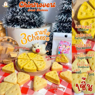 Chintrovert ✨| Mini 3 Cheese 3 ชีสจิ๋ว 🧀| แฮมเตอร์ แฟตเทล ดอร์เมาท์ ชูการ์ไกร์เดอร์ สุนัข แมว