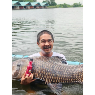 เหยื่อตกปลาสำนักคุ้มภัยหัวเชื้อ บึกสวายกระโห้