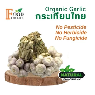 กระเทียมไทย ออร์แกนิค มาตรฐานเกษตรอินทรีย์ ปลอดภัย 100% รสเผ็ดแบบธรรมชาติ สรรพคุณเป็นยาอายุวัฒนะ ทานอาหารเป็นยาดีที่สุด