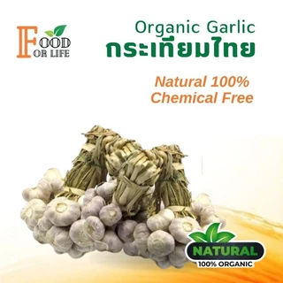 กระเทียมไทย ออร์แกนิค มาตรฐานเกษตรอินทรีย์ ปลอดภัย 100% รสเผ็ดแบบธรรมชาติ สรรพคุณเป็นยาอายุวัฒนะ ทานอาหารเป็นยาดีที่สุด