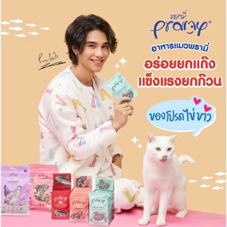 Pramy พรามี่ อาหารเปียกแมว บำรุงสุขภาพ ขนาด 70g x12ซอง
