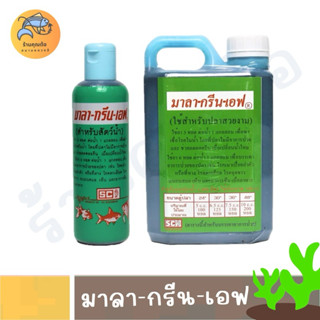 [พร้อมส่ง] มาลากรีนเอฟ 200 cc และ 1000 cc