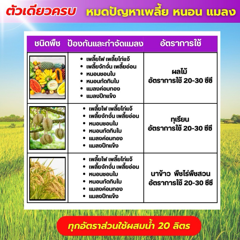 มองก้า ฟีโนบูคาร์บ 50% สูตรเย็น น้ำฟ้า สูตรพิเศษ เพลี้ยกระโดด เพลี้ยอ่อน เพลี้ยจักจั่น แมลง หนอน - รูปที่ 2