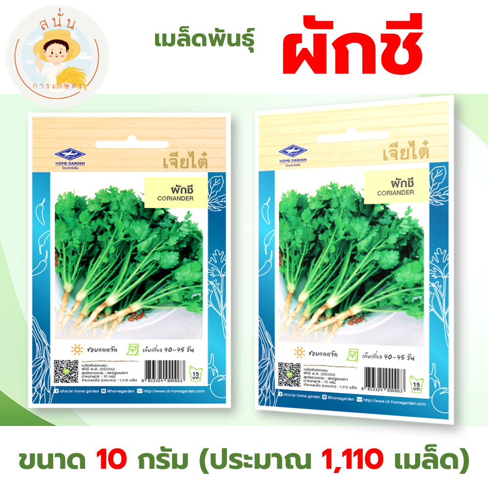 เมล็ดพันธุ์ผัก เจียไต๋ ผักชี (Coriander)