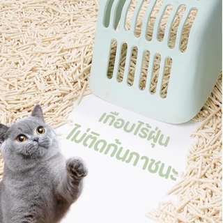 【PETStar1】🏆Tofu🏆ทรายแมว 6L ทรายแมวเต้าหู้ ปลอดภัย ไร้สารพิษ ออร์ ทรายแมวคุณภาพพรีเมี่ยม ปลอดภัยต่อระบบทางเดินหาย