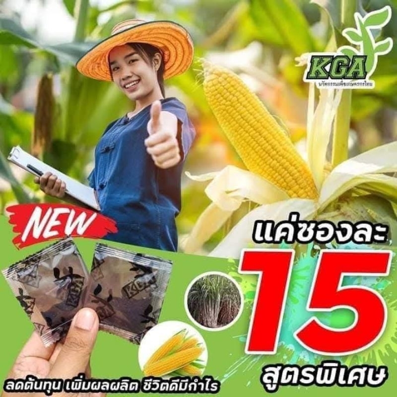ผงดำ KGA (1ซอง) สารเสริมประสิทธิภาพ ปุ๋ยกึ่งฮอร์โมน ช่วยบำรุง ฟื้นฟู ปรับสภาพในดิน
