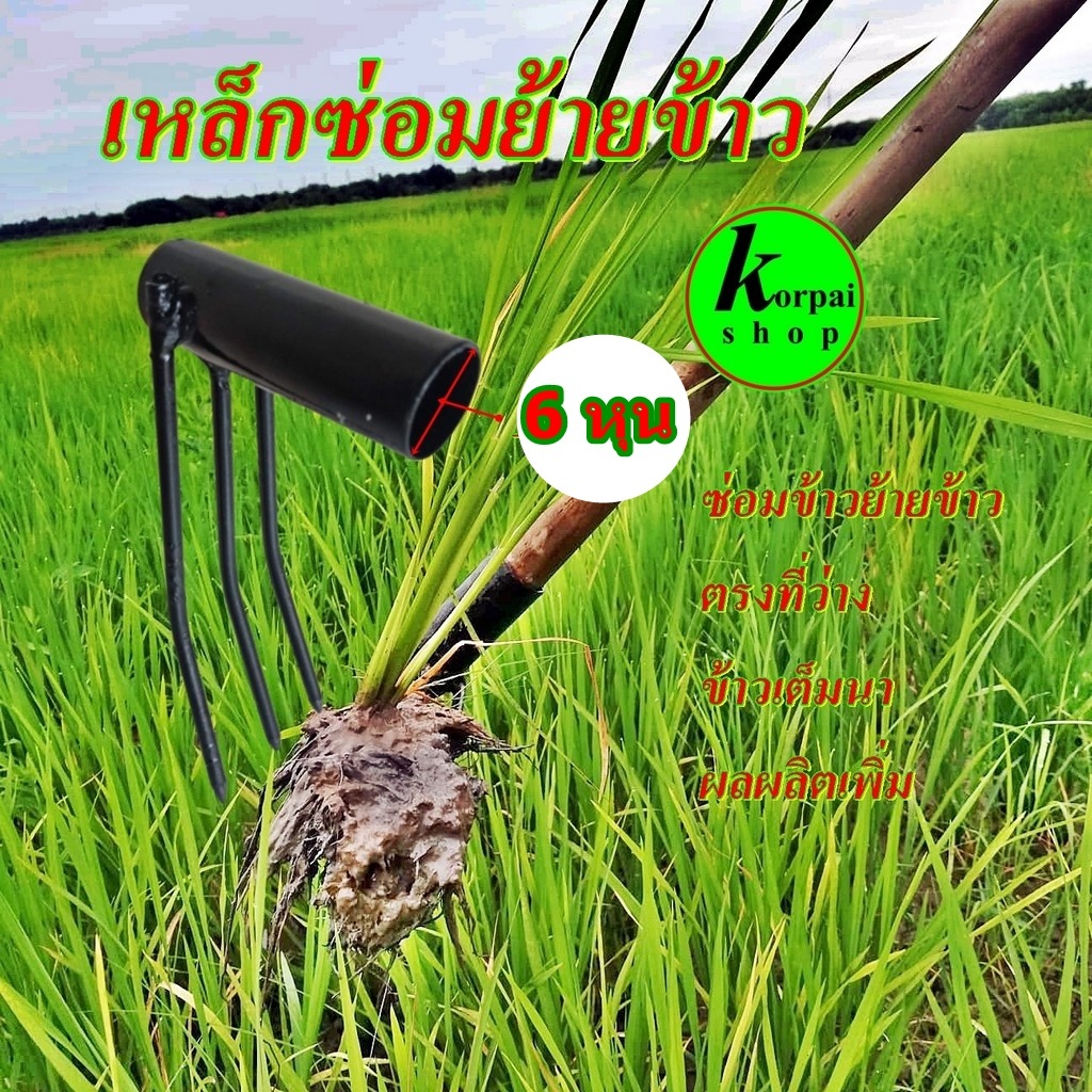 เหล็กซ่อมข้าว เหล็กย้ายข้าว ไม้ย้ายข้าว คราดซ่อมข้าว ขนาดใส่ด้าม 6หุนสีดำ
