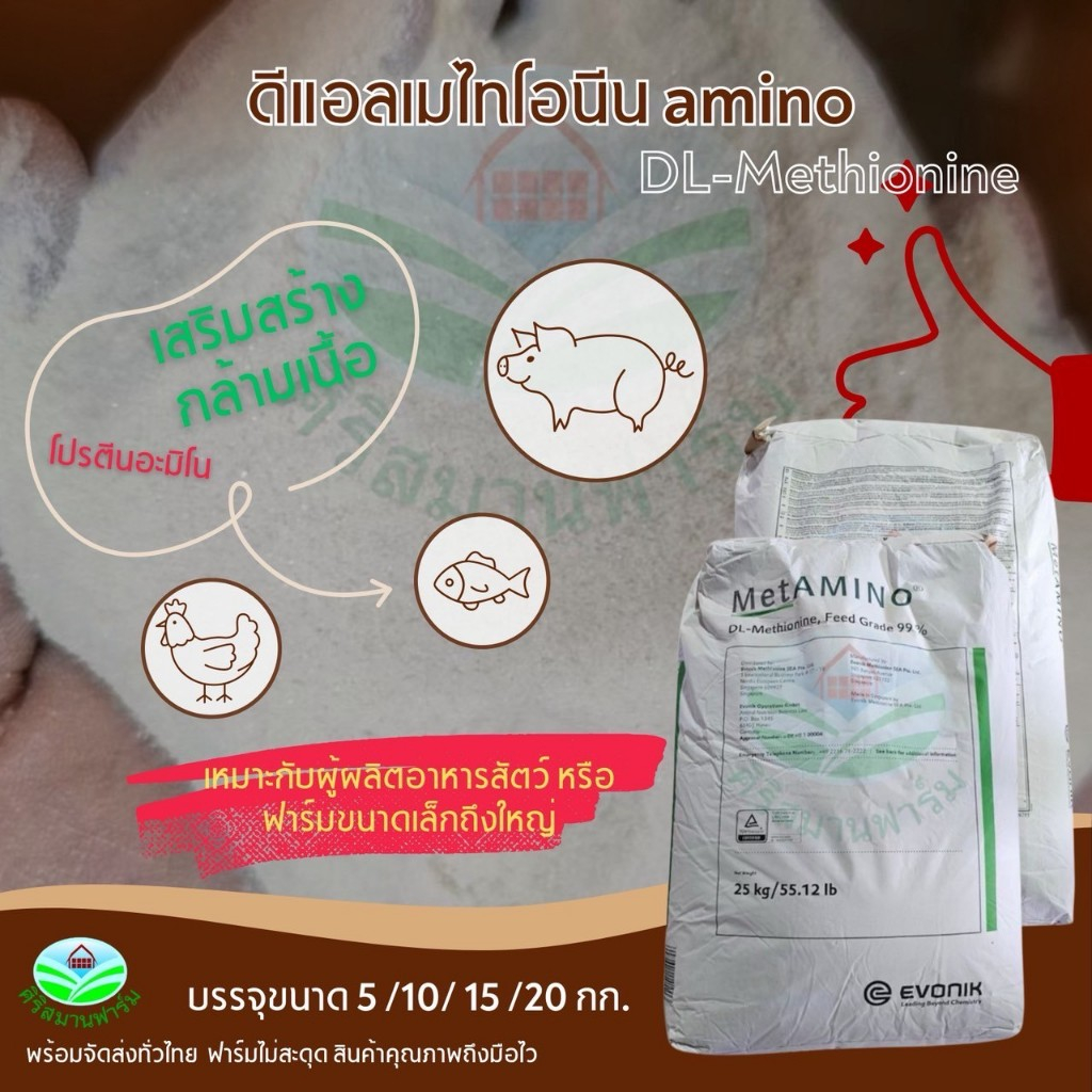 DL-Methionine ดีแอลเมไทโอนีน amino เกรดอาหารสัตว์  เสริมสร้างกล้ามเนื้อ โปรตีนอะมิโน ไก่ สุกร ปลา 5,10,15,20, กิโลกรัม