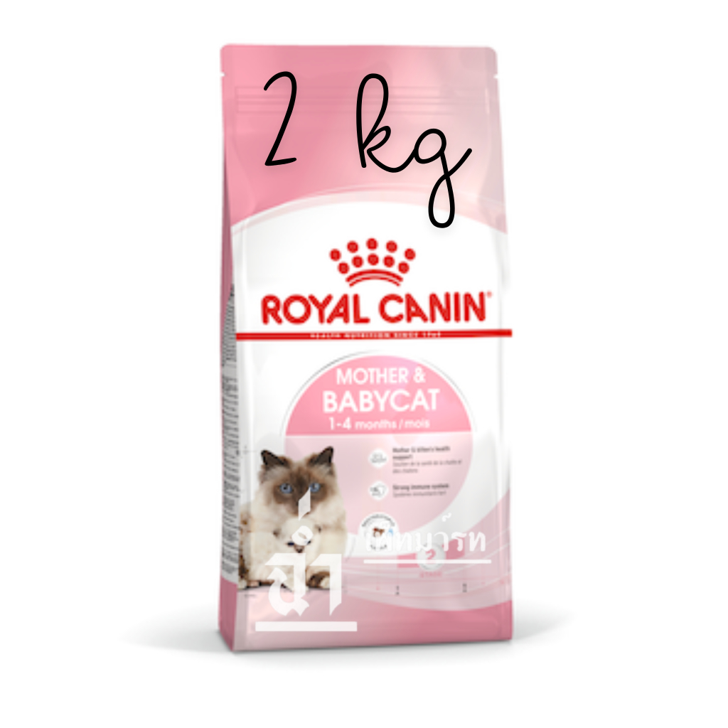 Royal Canin Starter Mother&Baby Cat 2 kg อาหารแม่แมวตั้งท้อง-ให้นมและลูกแมวอายุต่ำกว่า 4 เดือน