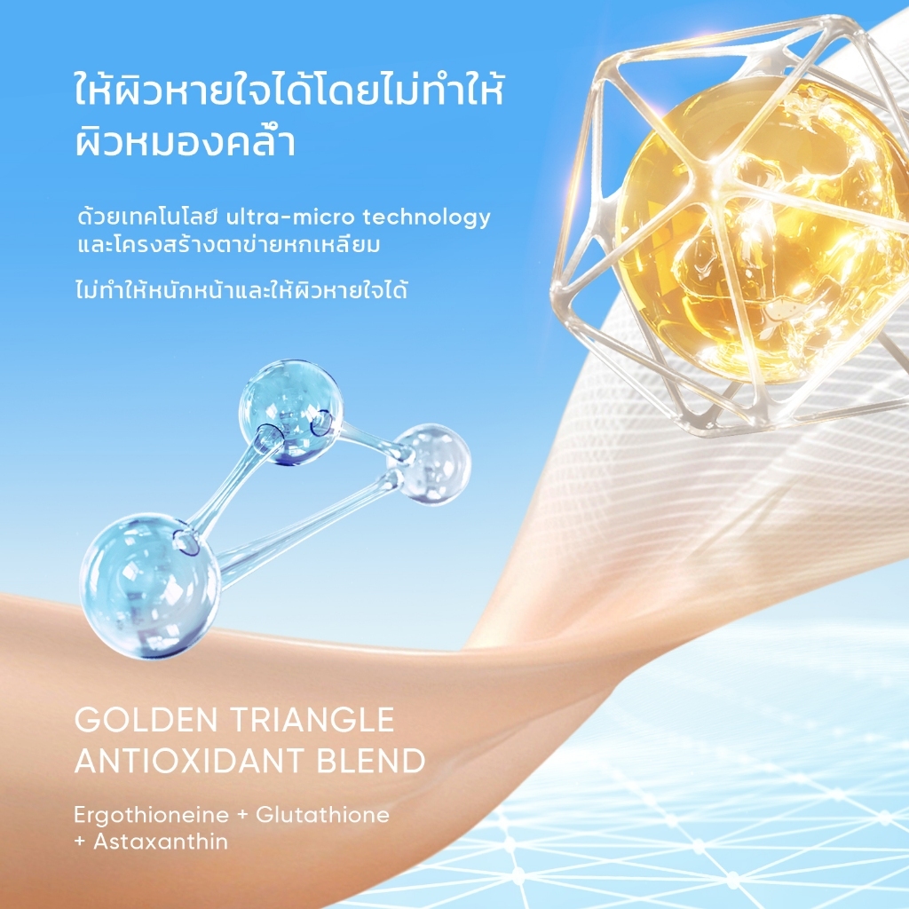 รูปภาพ 8