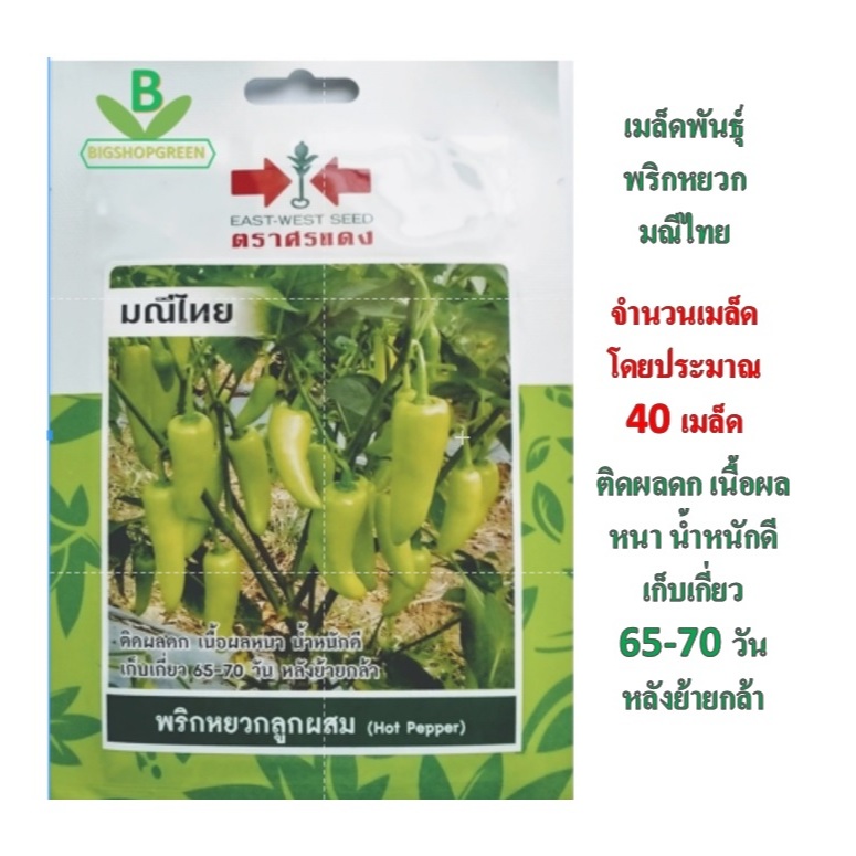 5 แถม 1 คละได้ เมล็ดพันธุ์ พริกหยวก มณีไทย ศรแดง เมล็ดผัก เมล็ดพันธุ์ผัก เมล็ดพันธุ์พืช เมล็ดพืช