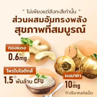 [Vitanad+] Zinc 15mg (Zinc gluconate 117mg) ตรงจากญี่ปุ่น (240 เม็ด / วันละ 1 เม็ด) สังกะสี ซิงค์ อาหารเสริมเพิ่มพลัง เสริมภูมิคุ้มกัน