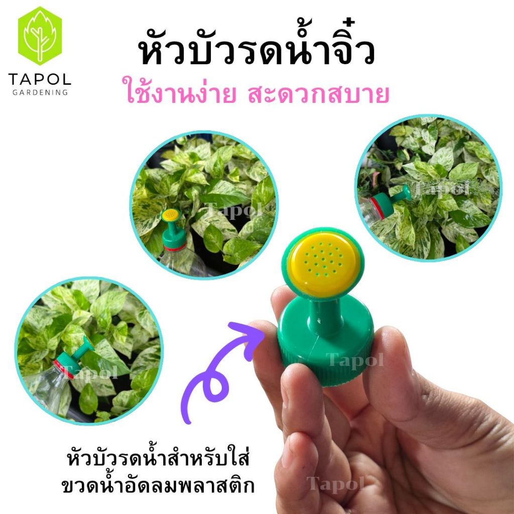 หัวบัวรดน้ำจิ๋ว สำหรับใส่ขวดน้ำอัดลม ใช้งานง่าย สะดวกสบาย รดน้ำไม่หกเลอะเทอะ