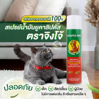 Kangaroo สเปรย์ยูคาลิปตัส ตราจิงโจ้ 300 มล.ช่วยปรับอากาศ และช่วยลดอาการคัดจมูกและภูมิแพ้จากหวัด