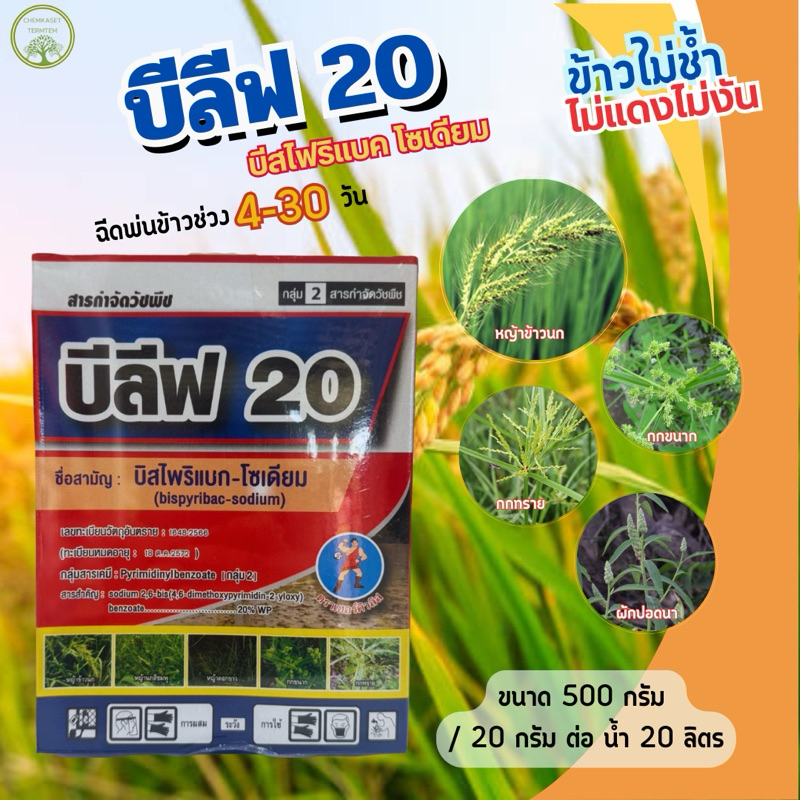 บีลีฟ-20 บิสไพริแบก-โซเดียม ขนาด 500 กรัม หญ้านกสีชมพู หญ้าข้าวนก หญ้าแดง ผักปอด หนวดปลาดุก กก