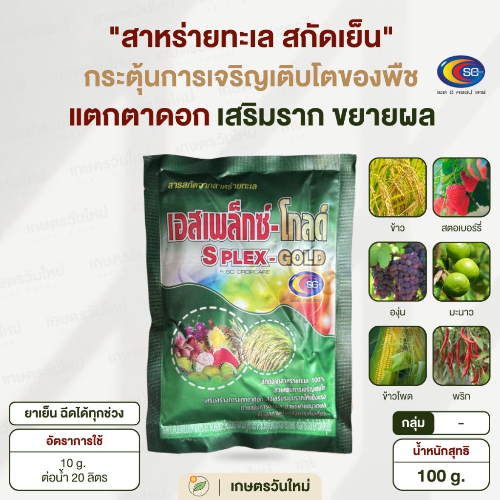 👩🏻‍🌾 เอสเพล็กซ์ โกลด์ สาหร่ายทะเล 100% รากขยาย ต้นแตกยอด ผลโตขึ้น ฟื้นฟูต้นหลังเก็บเกี่ยว ชนิดเกล็ด ขนาด 100 g. / เอสซี