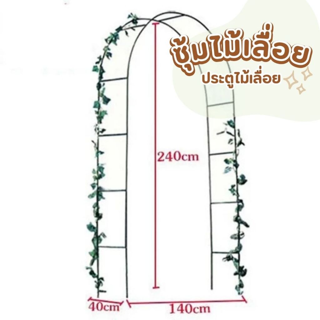 กุหลาบ ซุ้มกุหลาบ ซุ้มดอกไม้ ไม้เลื้อย ซุ้มลูกโป่ง ซุ้มกาแฟ ซุ้มงานแต่ง ซุ้ม ซุ้มประตู ซุ้มโค้ง